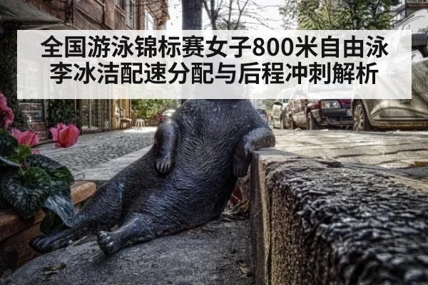 全国游泳锦标赛女子800米自由泳李冰洁配速分配与后程冲刺解析
