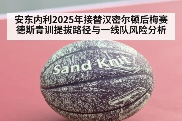 安东内利2025年接替汉密尔顿后梅赛德斯青训提拔路径与一线队风险分析